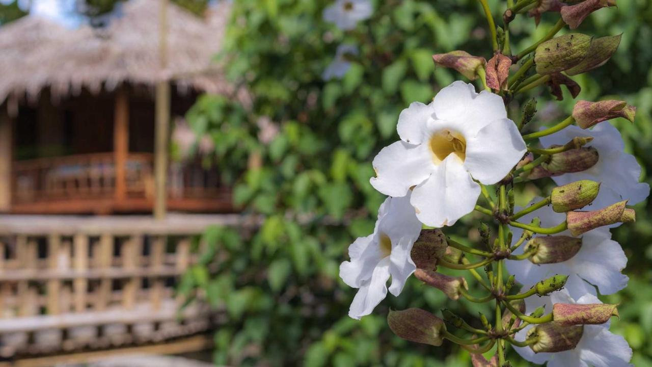 Onong'S Homestay & Cafe Tomohon 外观 照片